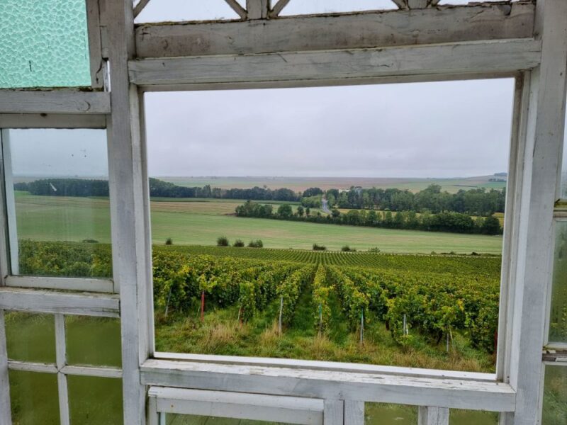 Paroles d’experts : « Rétrospective – Vendanges 2021 » par Bertrand TREPO