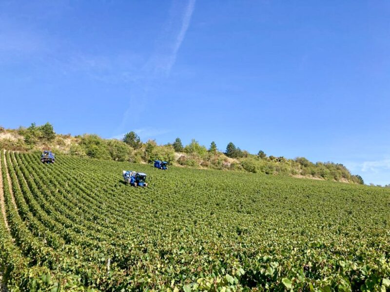 Rencontre vigneron – Jean-Paul DURUP – Domaine DURUP Père & Fils.