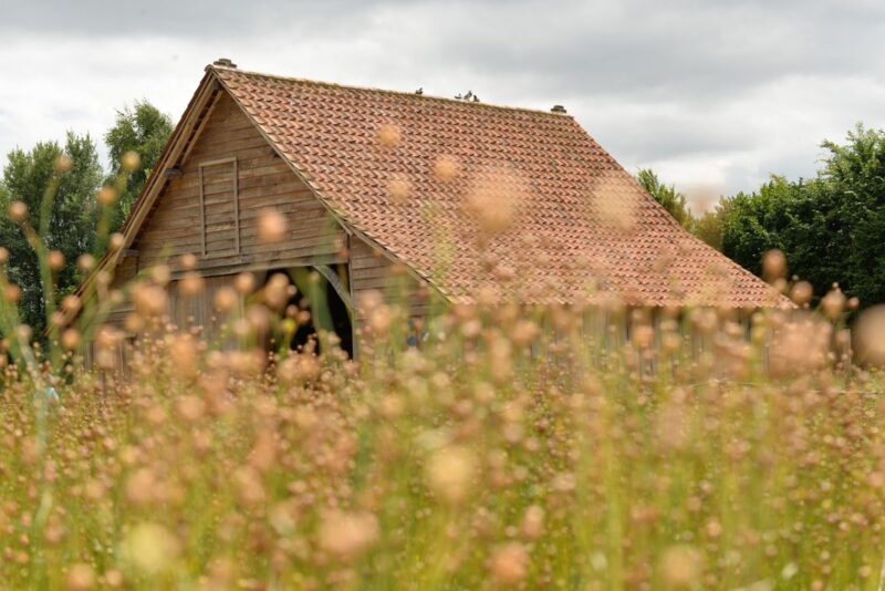 Encadrement dans le temps de l&rsquo;action en garantie des vices cachés