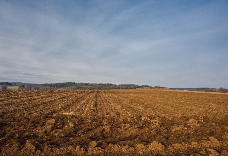 Date à retenir pour l&rsquo;implantation des jachères
