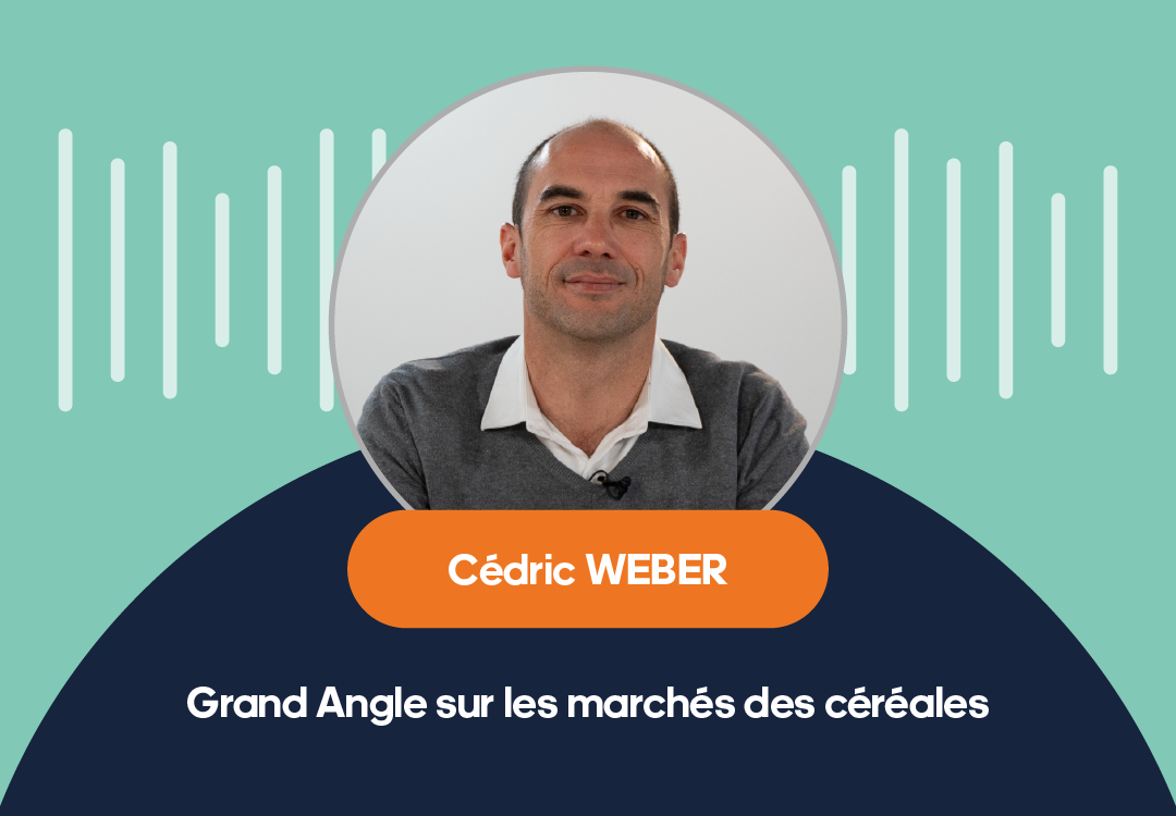 PODCAST – Grand Angle sur les marchés des céréales