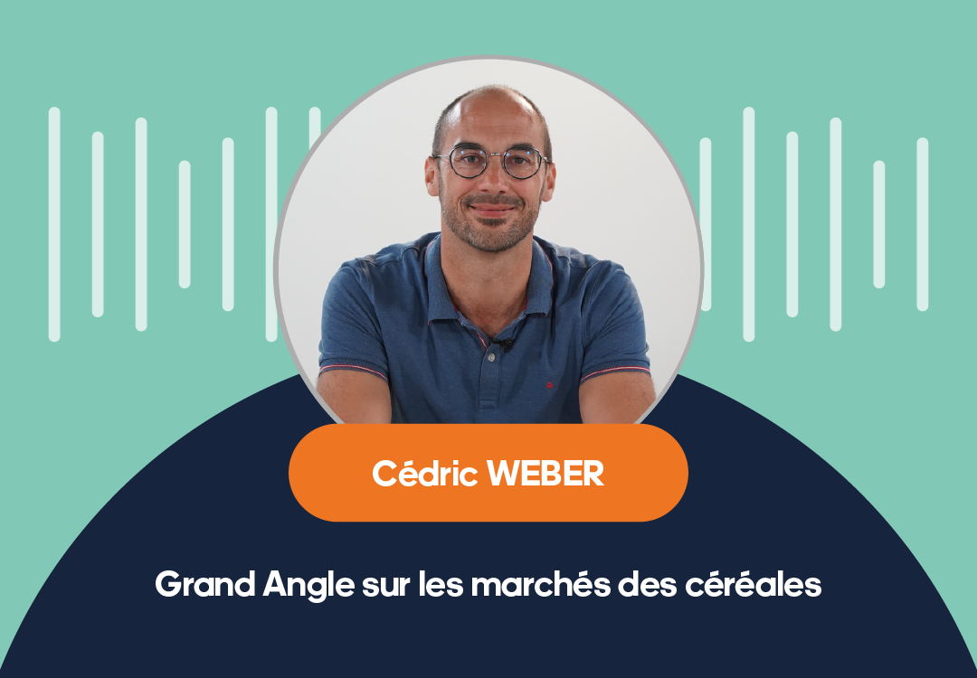 PODCAST – Grand Angle sur les marchés des céréales