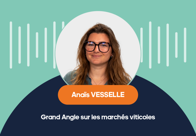 Podcast – Grand Angle sur les marchés viticoles