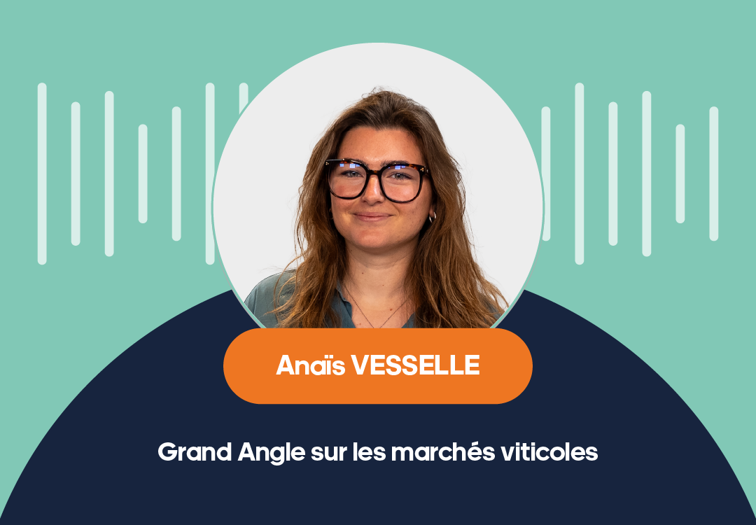 Podcast – Grand Angle sur les marchés viticoles